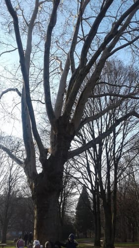 2019-11-Vivre-des-activites-dans-la-nature-006