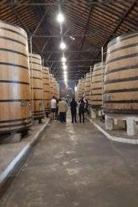 2024-09-Le-Douro-003