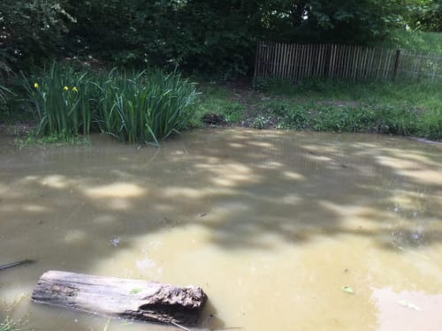 2019-11-Vivre-des-activites-dans-la-nature-001