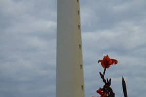 2015-08-Sud-Ouest-France-017