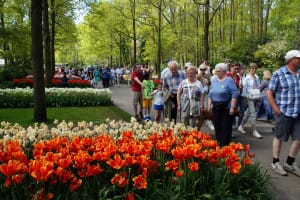 2016-05-Keukenhof-002