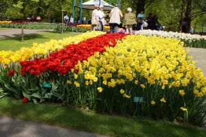 2016-05-Keukenhof-003