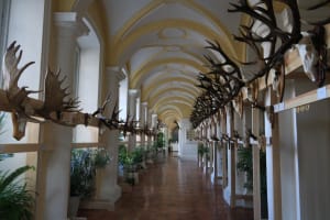 2017-07-Echappee-Baltes-026