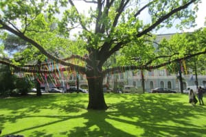 2017-07-Echappee-Baltes-041