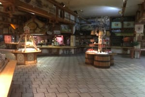 2017-07-Pologne-043