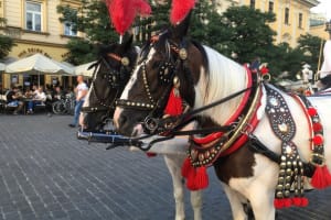 2017-07-Pologne-062