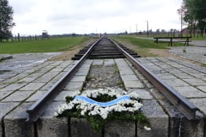 2017-07-Pologne-085