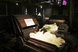 2017-09-Laine-et-Chocolat-019