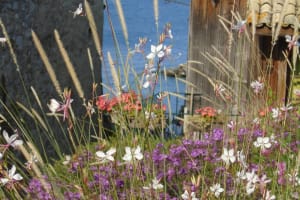 2017-09-Savoie-029