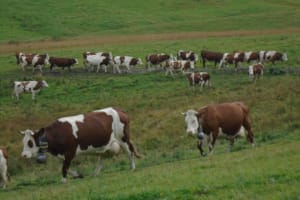 2017-09-Savoie-036