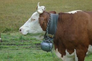 2017-09-Savoie-037