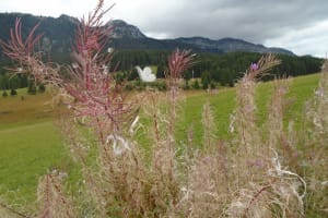 2017-09-Savoie-038