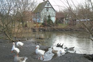 2017-12-Alsace-009