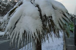 2018-02-Menton-Nice-010