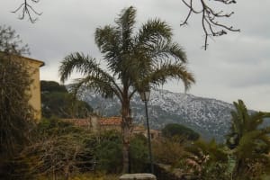 2018-02-Menton-Nice-028