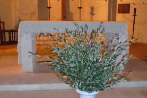 2018-02-Menton-Nice-034