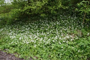 2018-04-Plombieres-012