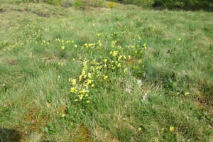 2018-04-Plombieres-014