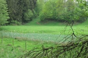 2018-04-Plombieres-022