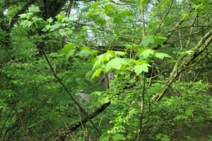 2018-04-Plombieres-024