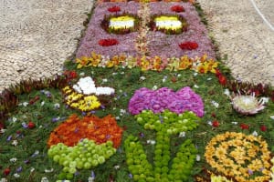 2018-05-Madere-004