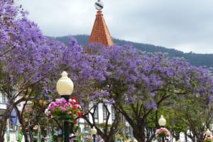 2018-05-Madere-005