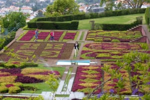 2018-05-Madere-015