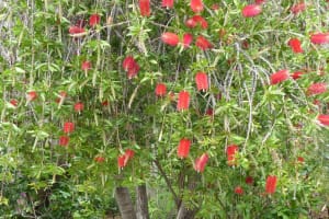 2018-05-Madere-021