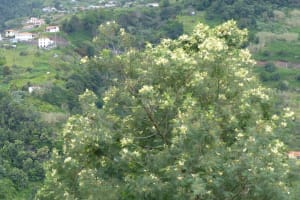 2018-05-Madere-057