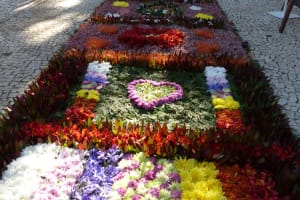 2018-05-Madere-076