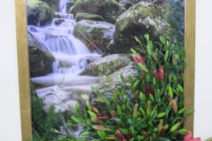 2018-05-Madere-104