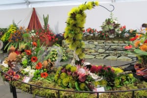 2018-05-Madere-105