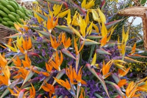 2018-05-Madere-135