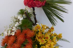 2018-05-Madere-138