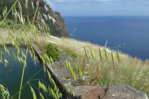 2018-05-Madere-156