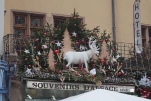 2018-11-Alsace-037