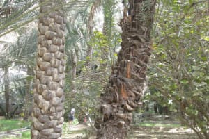 2019-03-Dubai-109