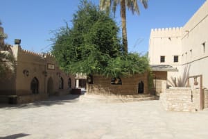 2019-03-Dubai-135
