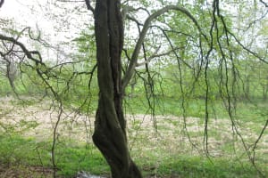 2019-05-BBQ-Welkenraedt-024