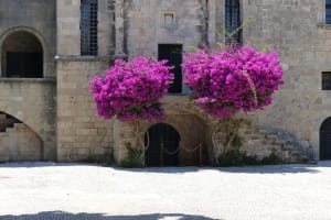 2019-06-Grece-046