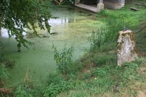 2019-08-Ardennes-013