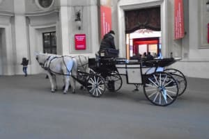 2019-12-Danube-029