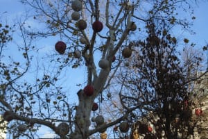 2019-12-Danube-089