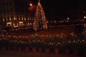 2019-12-Danube-101