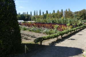 2021-09-La-Touraine-011