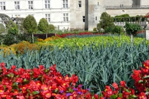 2021-09-La-Touraine-049