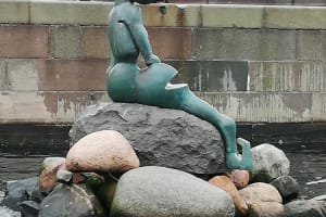 dig