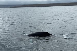 2022-06-Islande-004