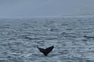 2022-06-Islande-005