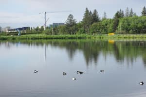 2022-06-Islande-024